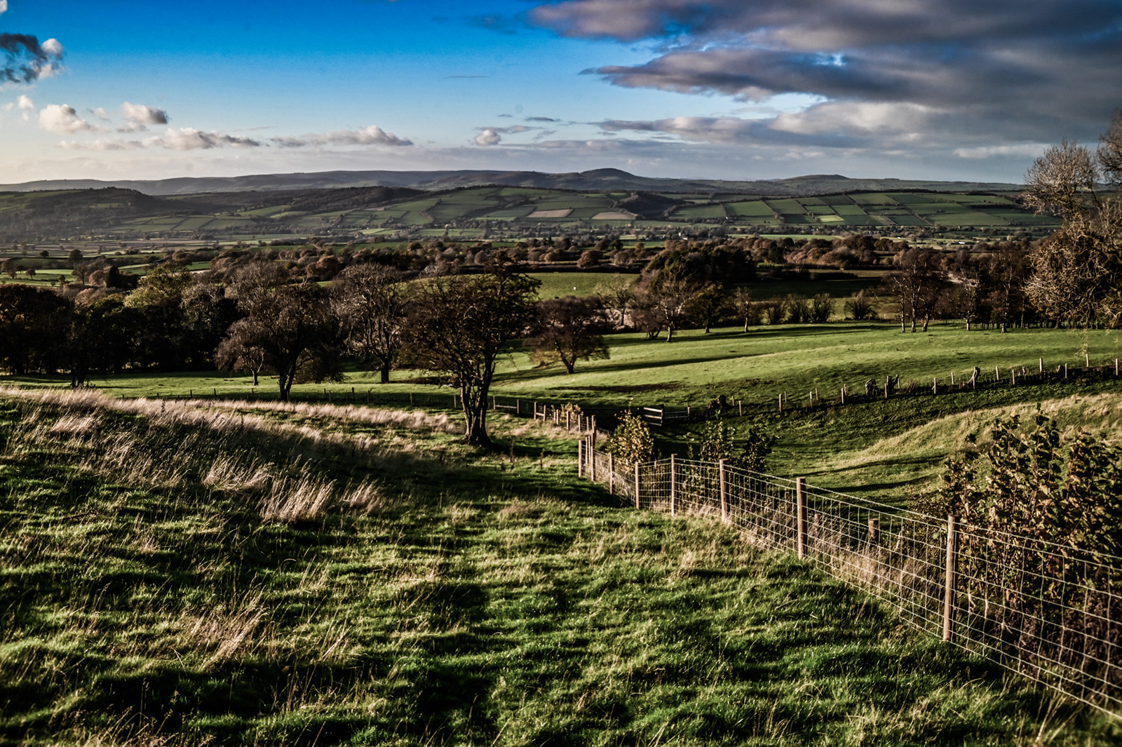 Shot with Nikon 35-70 f/3.3-4.5