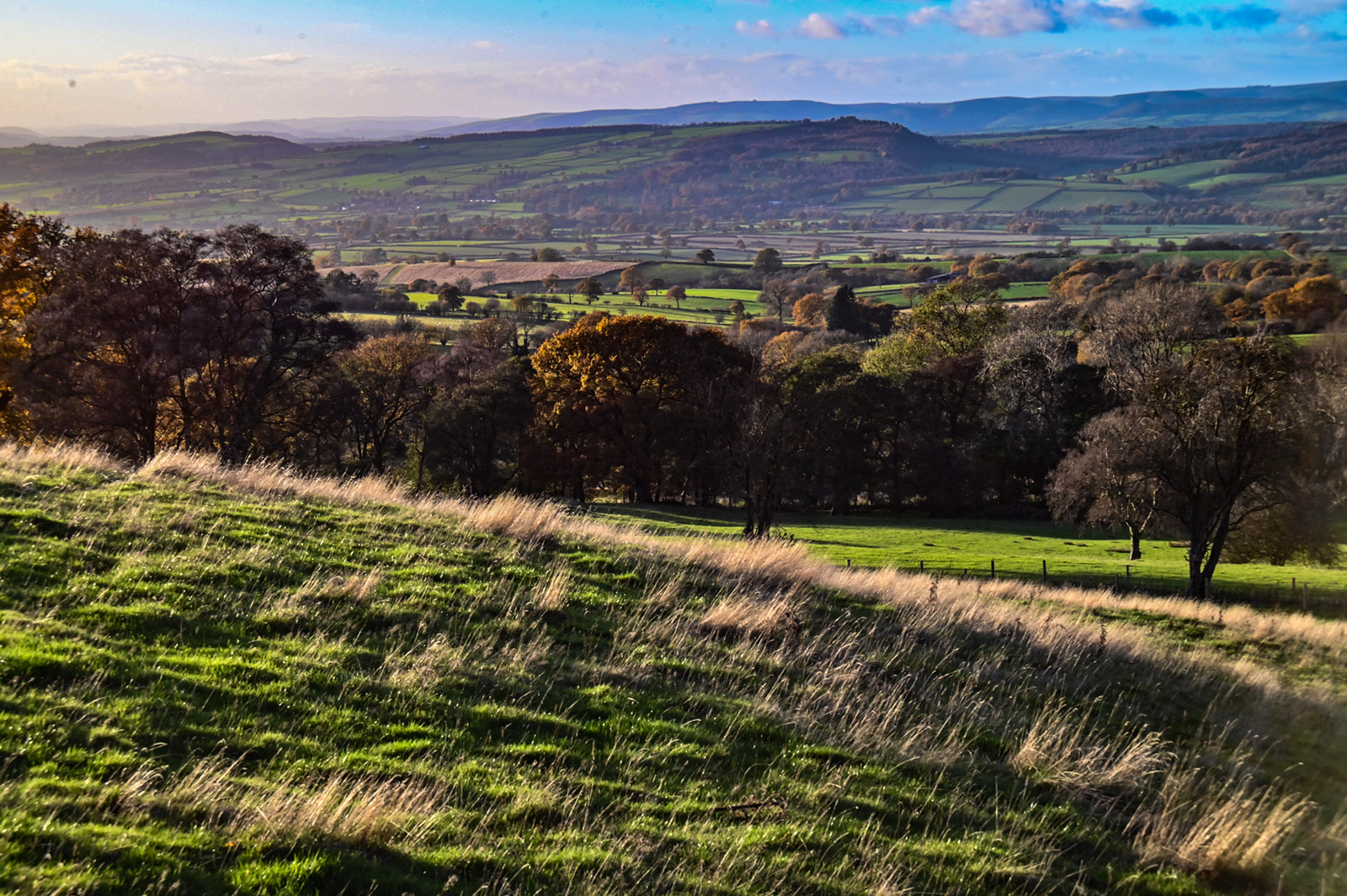 Shot with Nikon 35-70 f/3.3-4.5